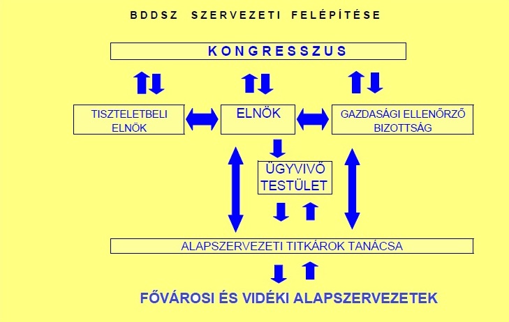 szervezeti felépítés