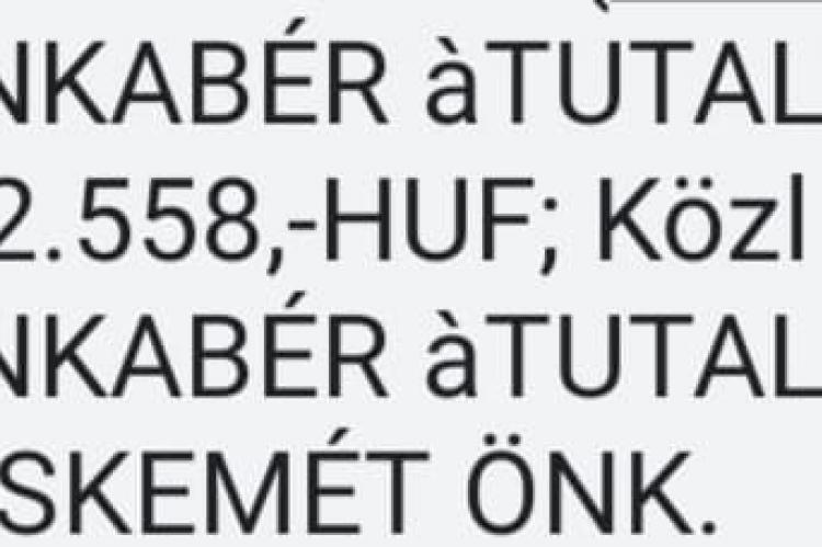 Csecsemő-és kisgyermeknevelő Ba diplomával rendelkezem, gyakornok besorolásban dolgozom, ez az első évem, tehát pályakezdőnek számítok.